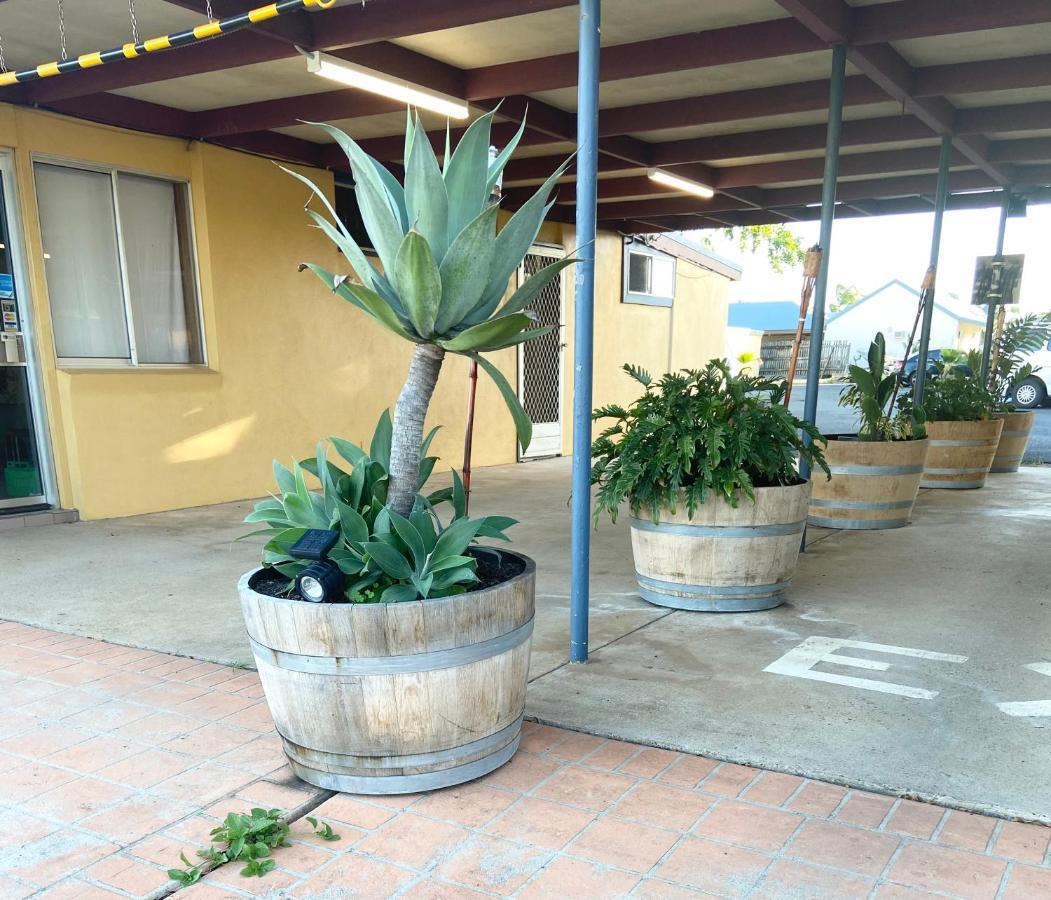 Proserpine Motor Lodge Dış mekan fotoğraf